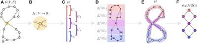 Deep Graph Mapper: Seeing Graphs Through the Neural Lens
